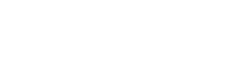 torneo logo